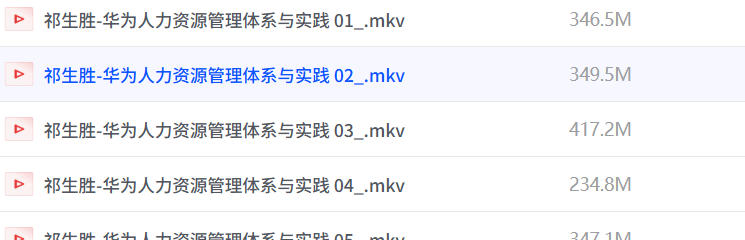 祁生胜 华为人力资源管理体系与实践