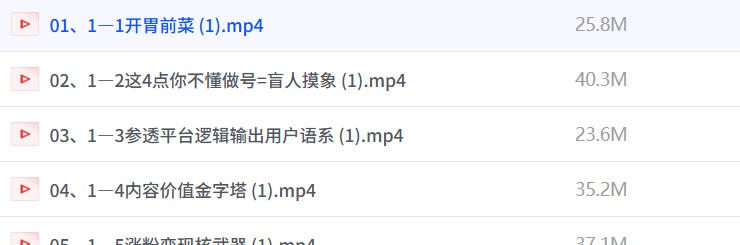 小红书涨粉+变现硬核干货系统课，带你逆袭小红书-空域资源网