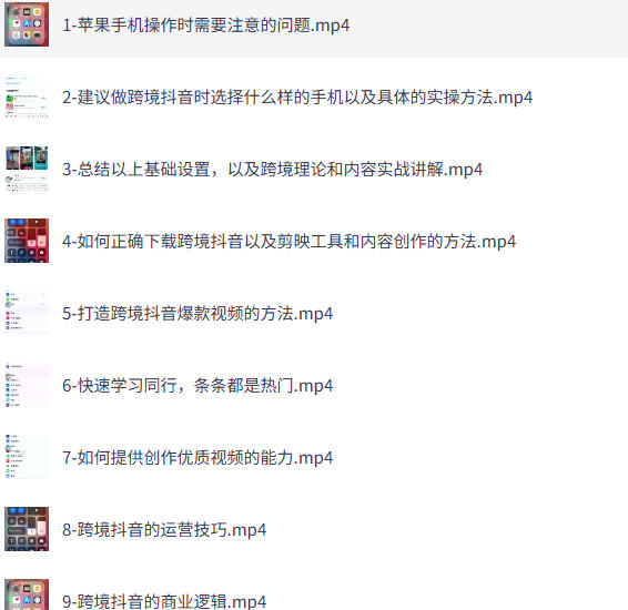 Tiktok+独立站0基础入门到精通 跨境电商独立站新手必学课-空域资源网