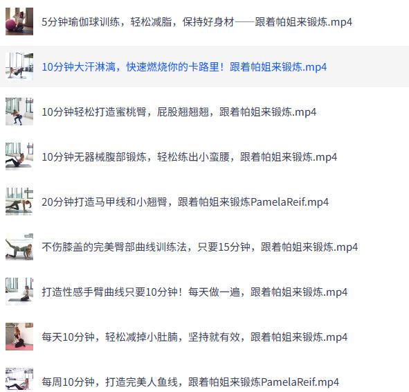 帕梅拉燃脂全集 健身课程-空域资源网