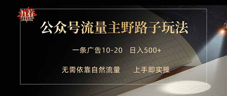 公众号流量主野路子玩法 单条广告10-20元 日入500+-空域资源网