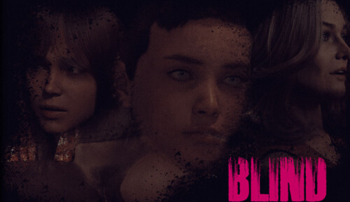 【欧美/SLG/动态】盲视 Blind v1.1AI汉化【PC+安卓/1.61G】-空域资源网