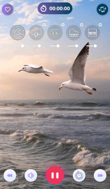 风的声音 Wind Sounds v12.5 高级版-空域资源网