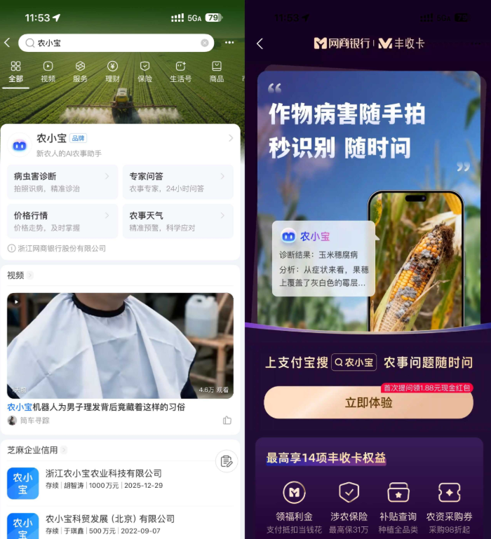 支付宝农小宝首次提问得1.88亓-空域资源网