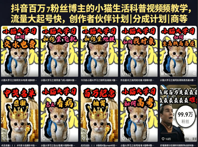 抖音百万粉丝博主的小猫生活科普视频教学，流量大起号快，创作者伙伴计划|分成计划|商单|收徒等-空域资源网