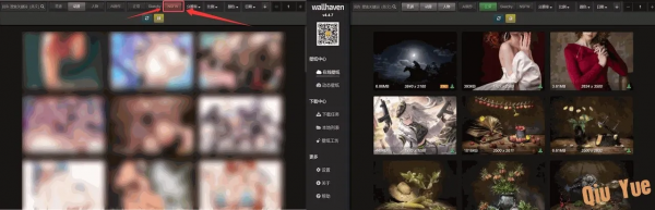 WallHaven_v4.4.7 老司机电脑壁纸工具-空域资源网