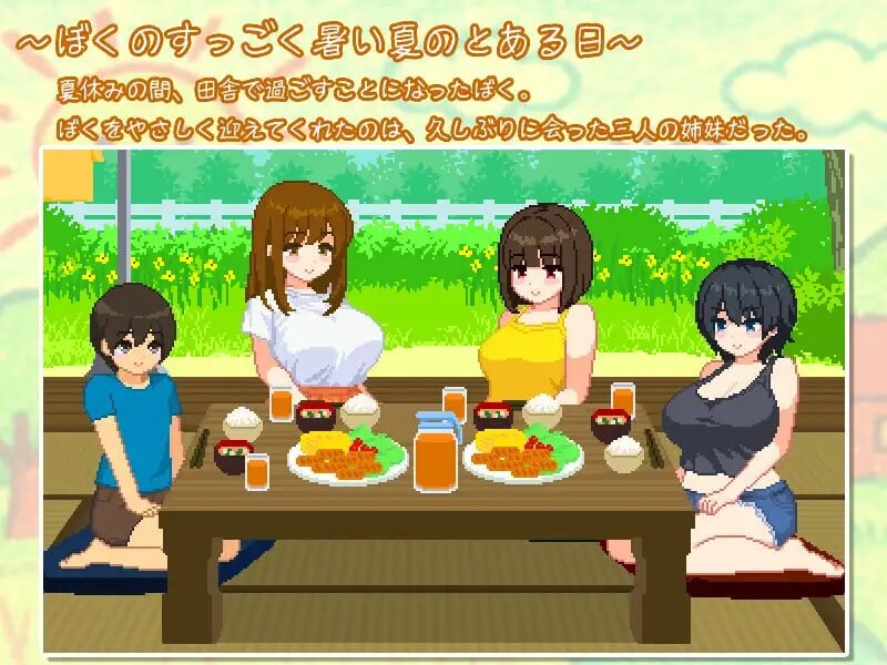 新作[日式SLG/像素动态] 与夏日姐姐们的甜蜜时光 ぼくと夏のおねえちゃん達 v1.0.2 Steam官中步兵版+全回想存档 [350M]-空域资源网
