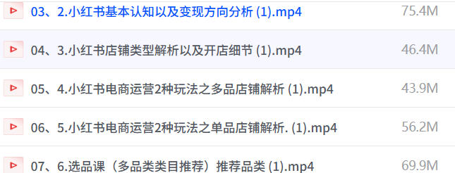 小红书电商0基础+高级运营课,新人小白必学方法,实操教学+案例分析-空域资源网