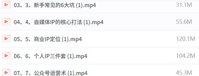 个人IP全案陪跑线上系统课-双域闭环落地实操课-空域资源网