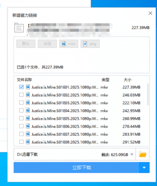 图片[2]-迅雷v9.1.49160极限精简版 只有25M大小 磁力高速下载