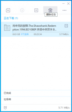 迅雷v9.1.49160极限精简版 只有25M大小 磁力高速下载-空域资源网